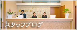 スタッフブログ
