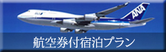 航空券付宿泊プラン