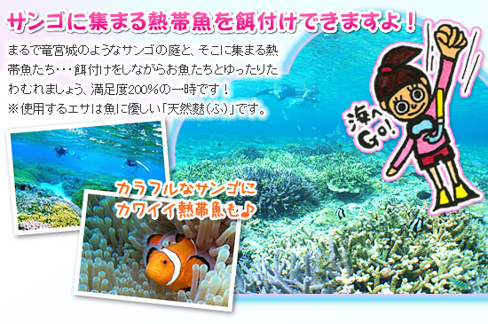 添付画像