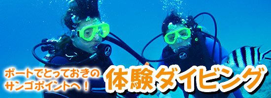 添付画像